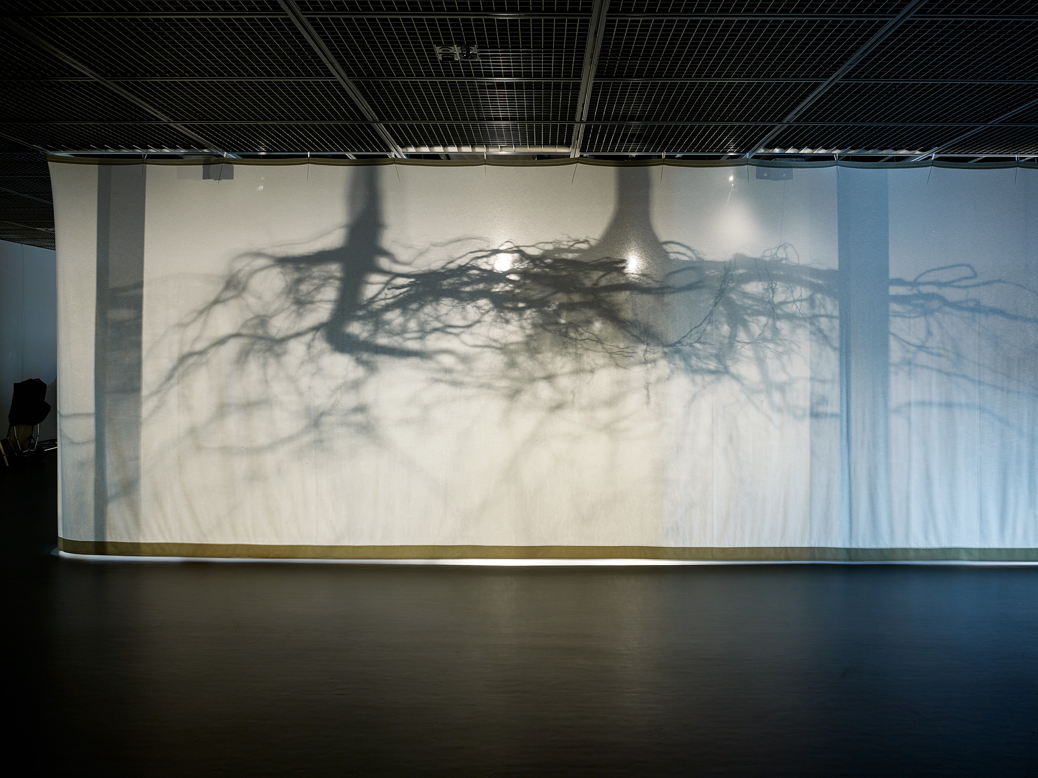 LIVE MATTER - Design Vegetal